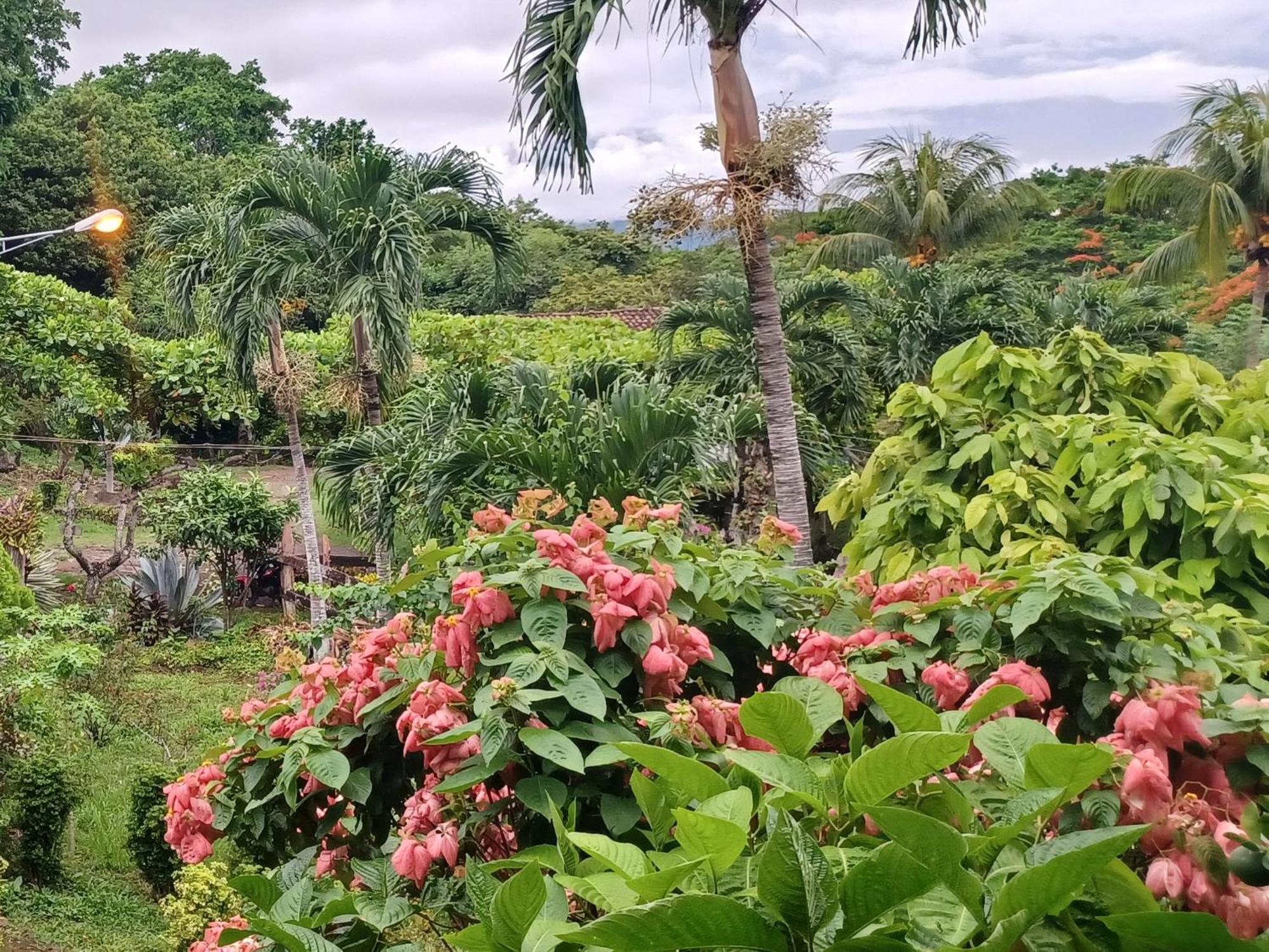 Finca Magdalena Eco Lodge Balgue 客房 照片